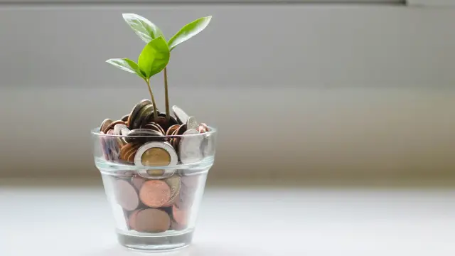 Money & Budgeting